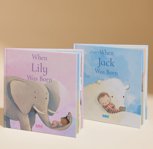 Pregnancy Book Recs